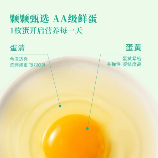 MM 山姆 富硒叶黄素鲜鸡蛋 3.3kg（60个） 商品图4