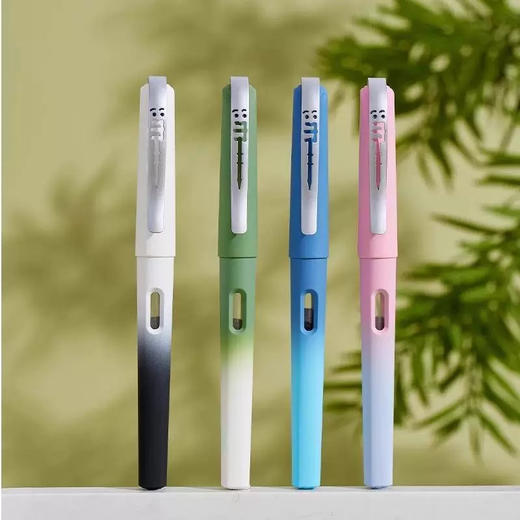 英雄P601双面书写铱金钢笔 商品图2