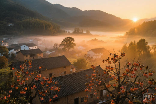 11月16日福建·屏南柿子秋摄5/7天摄影团：龙潭村·四坪村·乾头村· 厦地村·寿山乡·前乾村 商品图0