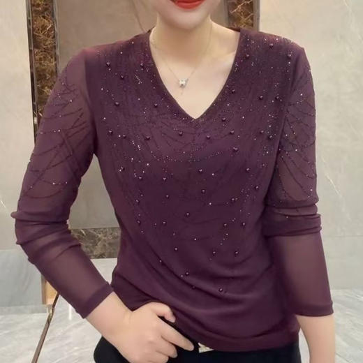 FW 9012时尚v领洋气百搭弹力网纱气质上衣 商品图2