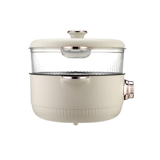 伊莱克斯多功能电火锅800W  EGFS-5110【LXGWDXY2.0】 商品图1