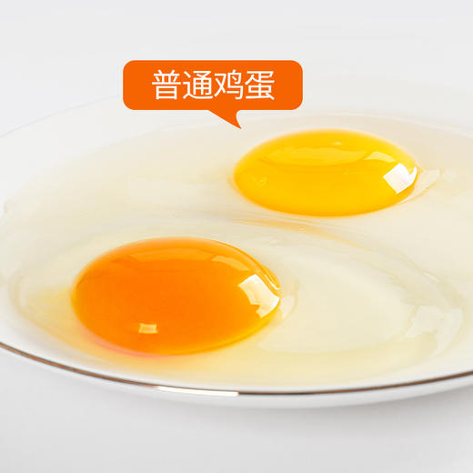 保卫蛋蛋富硒可生食鸡蛋35枚礼盒装 商品图2