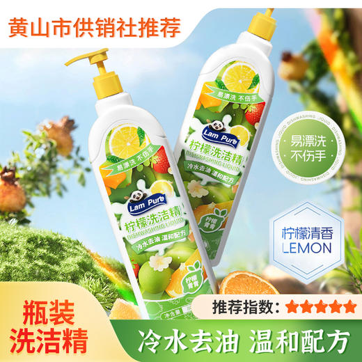 【蓝漂】柠檬洗洁精800g 家用实惠装 去油去腥味 清香厨房餐具碗筷清洁 商品图0