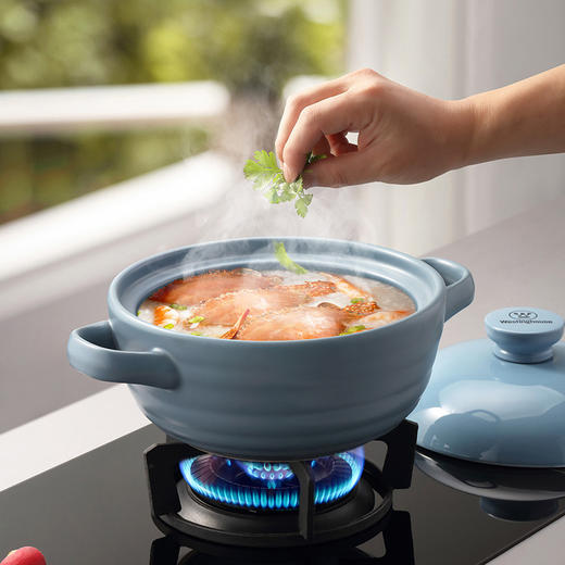 西屋Westinghouse-陶瓷锅WTTG35A【LXGWDXY2.0】 商品图5