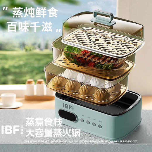 IBF艾博菲蒸煮食栈大容量蒸火锅IBFD-055-1 商品图0