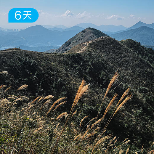 香港麦理浩径100公里 全球经典路线 轻装徒步 6日 商品图2