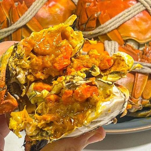 【溯源直发】阳澄湖大闸蟹·蟹卡尊享预售】 正宗核心产区 | 官方防伪蟹扣 | 金秋蟹礼限量1000份❗ 商品图1