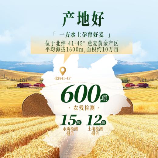 高蛋白有机燕麦片560g 张家口坝上1号燕麦 0蔗糖 即食代餐营养谷物 商品图2