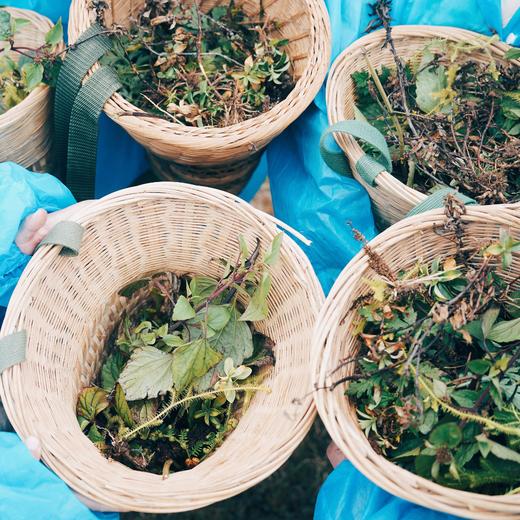 云南十八怪，杂糅的元阳哈尼梯田与建水汉家文庙【红河谷】7天6晚 商品图11