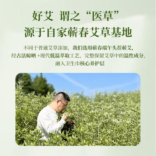 [2025]灸大夫艾草卫生巾 商品图2