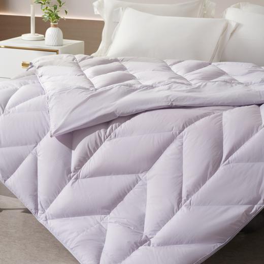 eral艾莱依家纺羽绒奥特齐可水洗鹅绒空调被白鹅绒子母被二合一被芯冬被 商品图1