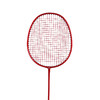 何大屋常胜将军羽毛球拍HDW1315【LXGWDXY2.0】 商品缩略图3