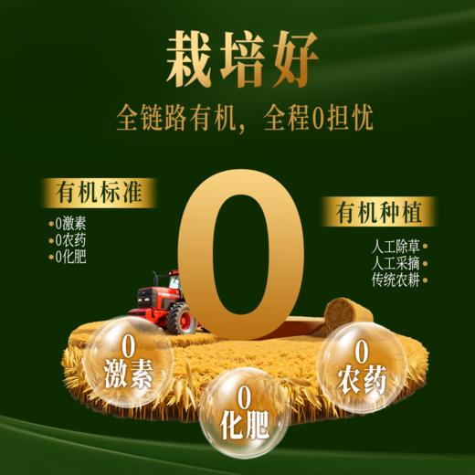 高蛋白有机燕麦片560g 张家口坝上1号燕麦 0蔗糖 即食代餐营养谷物 商品图3