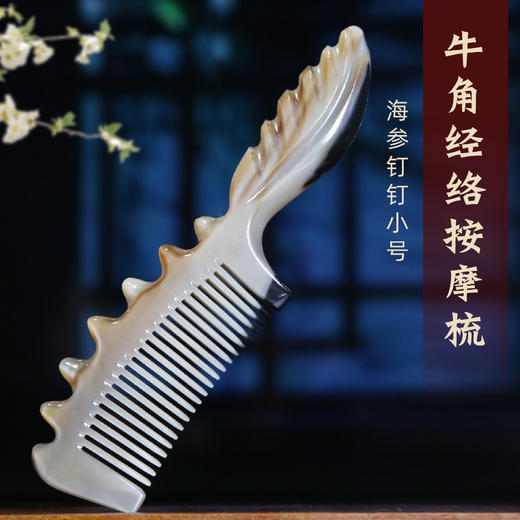 海参钉钉小号（16CM） 商品图2