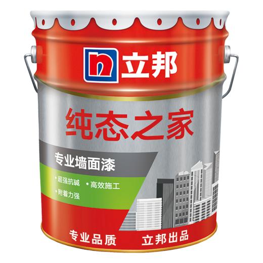 立邦涂料 内墙常规油漆+内墙艺术漆 商品图4