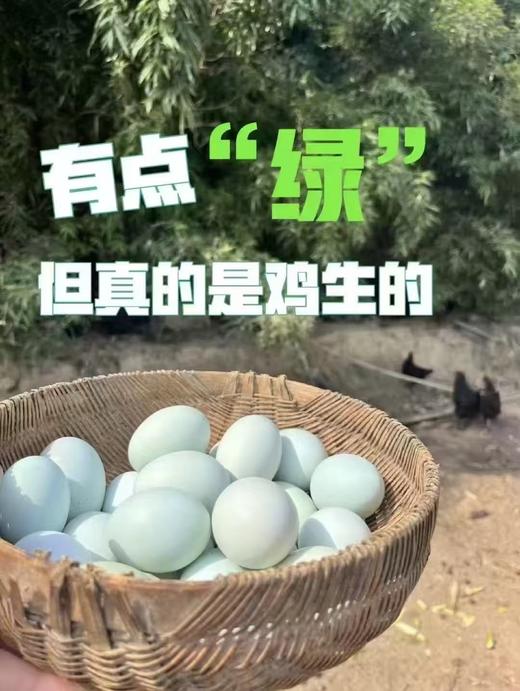 周日取货：【绿壳散养乌鸡蛋】一板30枚（净重约2斤左右）营养丰富，蛋香四溢，口感细腻。 商品图6