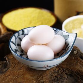 保卫蛋蛋新鲜鸽子蛋30枚装礼盒装