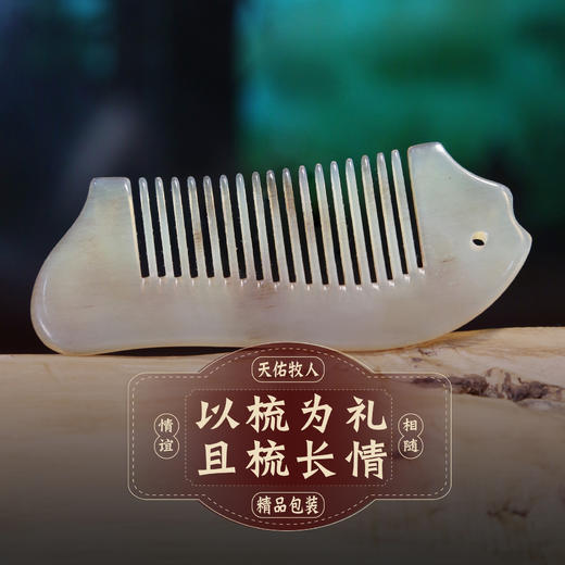 4060  十鲜鱼梳 商品图0