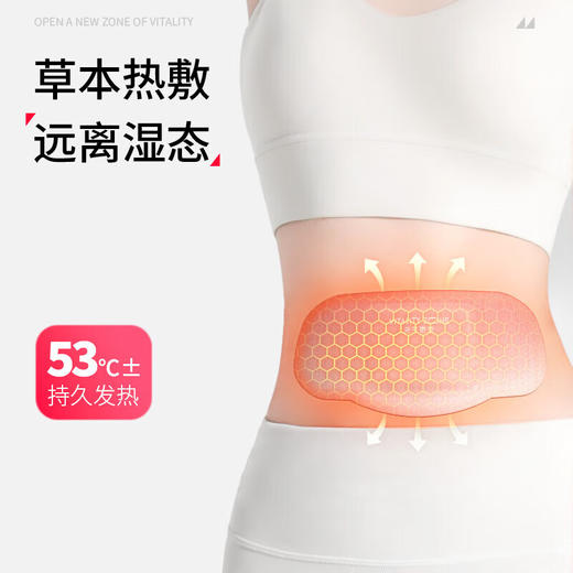 元气地带蕲艾将军藤轻盈贴3片/盒 1盒 商品图1