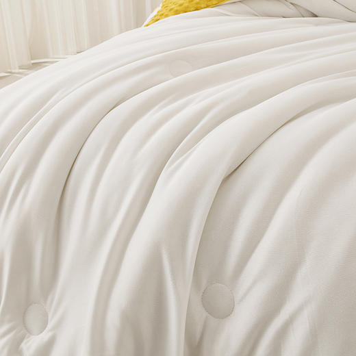 史努比·3D安抚豆豆被（A类）SND03-2023B【LXGWDXY2.0】 商品图8