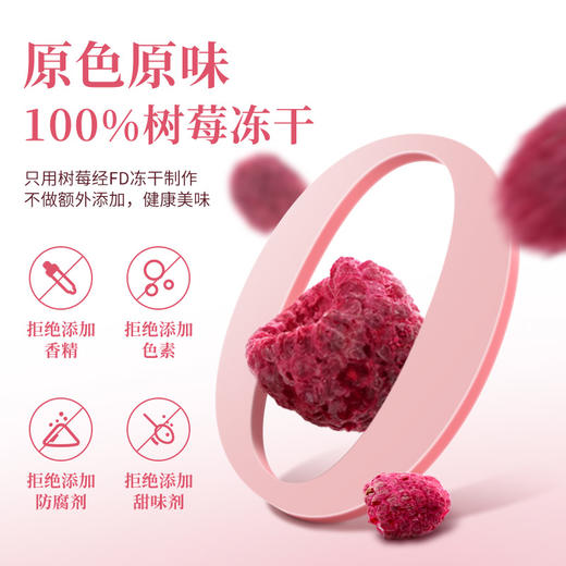 全食物日记 冻干树莓20g 商品图2
