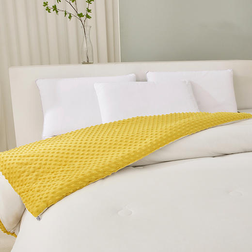 史努比·3D安抚豆豆被（A类）SND03-2023B【LXGWDXY2.0】 商品图4