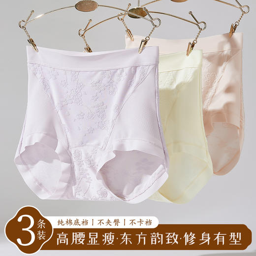 ALDOLA/雅黛俪高腰收腹提臀内裤女纯棉加长裆性感蕾丝无痕三角裤 商品图3