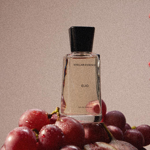 STELLAR ESSENCE叠香·香水 | 苦果ELIO 商品图2