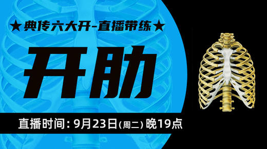 【9月23日】典传六大开直播带练（开肋） 商品图0