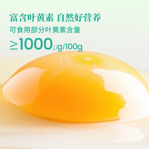 MM 山姆 富硒叶黄素鲜鸡蛋 3.3kg（60个） 商品图3
