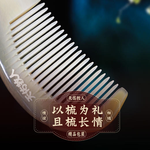 精品包包梳（12cm） 商品图0