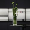 清影花器 RESONG日诵家居 玻璃花瓶 商品缩略图8