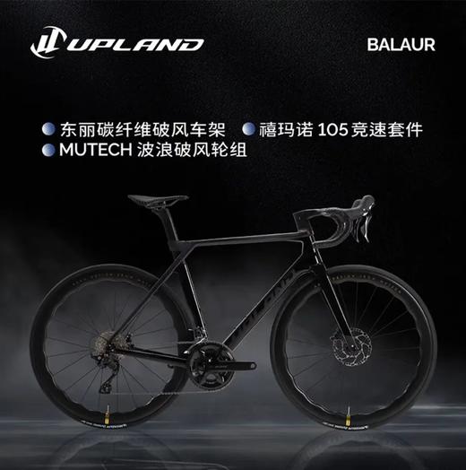 UPLAND阿普兰Balaur巴勒超轻全碳纤维自行车公路车24速白色碳轮版 商品图0