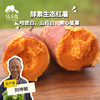 生态红薯（山东：蜜薯/哈密白/老品种山药白）| 合作生产*Ecological sweet potato| Partner Production 商品缩略图0