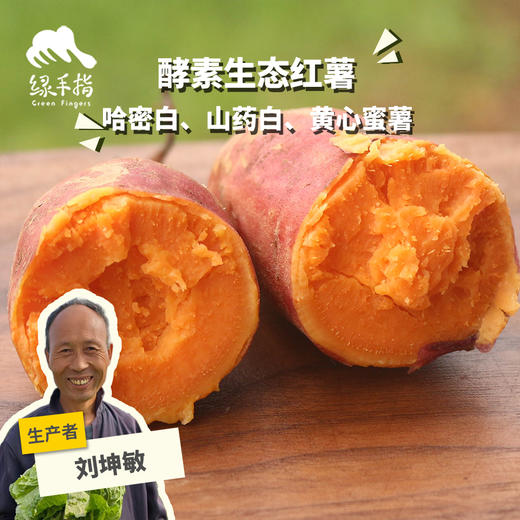 生态红薯（山东：蜜薯/哈密白/老品种山药白）| 合作生产*Ecological sweet potato| Partner Production 商品图0