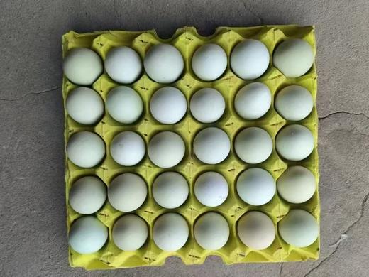 周日取货：【绿壳散养乌鸡蛋】一板30枚（净重约2斤左右）营养丰富，蛋香四溢，口感细腻。 商品图1