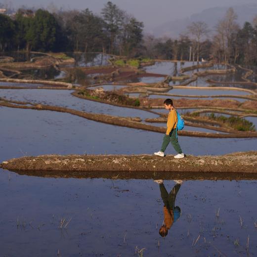 云南十八怪，杂糅的元阳哈尼梯田与建水汉家文庙【红河谷】7天6晚 商品图10