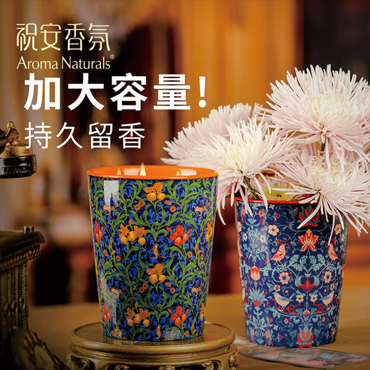 【祝安】艺术家系列香氛蜡烛917克乳木果蜡持久扩香无黑烟木香礼物 商品图1