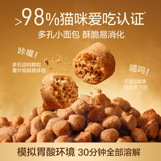 全价鲜蒸猫粮，多孔酥脆好消化 商品图3