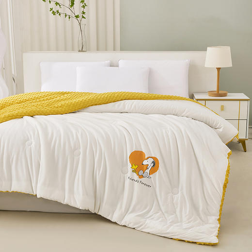 史努比·3D安抚豆豆被（A类）SND03-2023B【LXGWDXY2.0】 商品图9