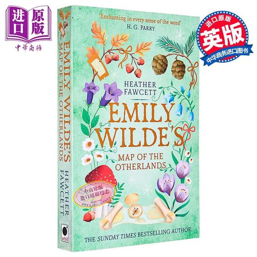 【中商原版】艾米丽 王尔德系列 第二部 异域地图 英文原版 Emily Wildes Map of Otherlands Heather Fawcett  商品图3