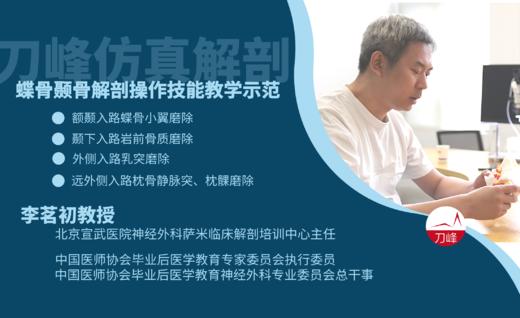 颞下入路岩前骨质磨除 商品图0