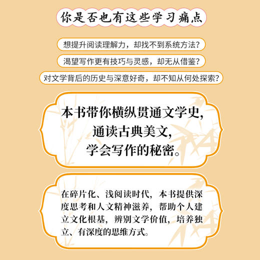 中国文学史四十讲：从*学写作 李天飞著古典文学研究阅读鉴赏学会写作 商品图1