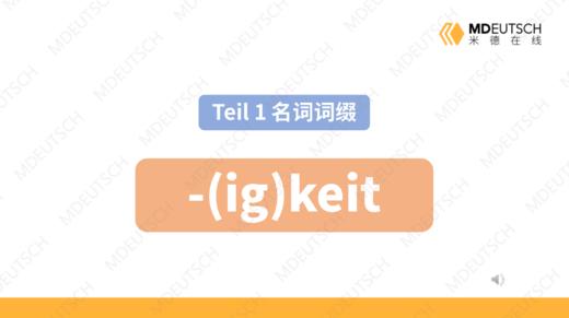 名词后缀 -(ig)keit 商品图0