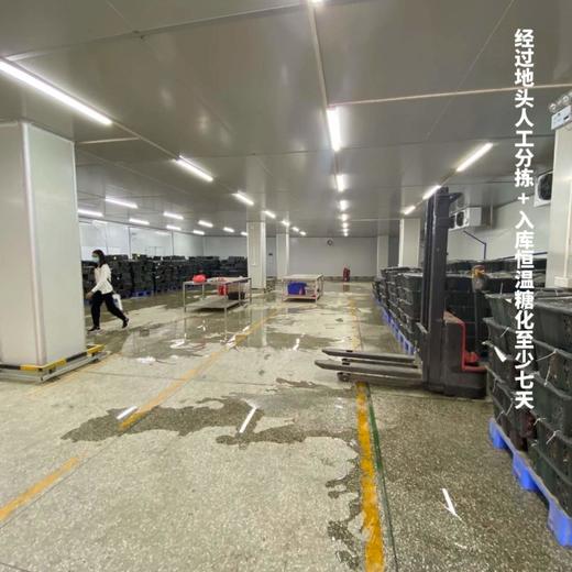 [最农公社]双12|精品紫薯5A糯紫莎源自日本工厂糖化流蜜糖心紫薯日系紫薯不苦涩不干巴 商品图14