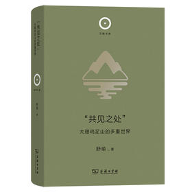“共见之处”：大理鸡足山的多重世界(日新文库)