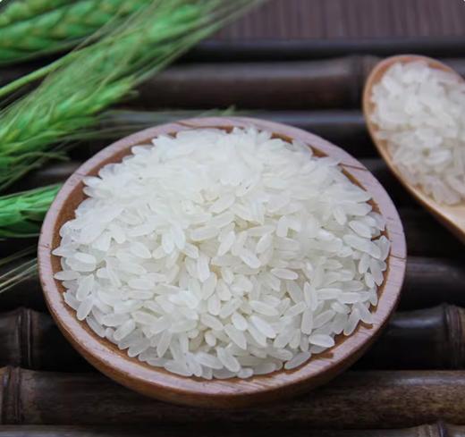 有机五常大米长粒香 5斤装 商品图0