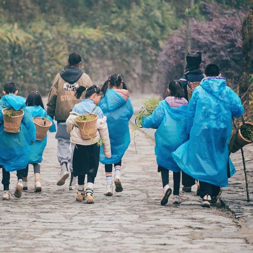 云南十八怪，杂糅的元阳哈尼梯田与建水汉家文庙【红河谷】7天6晚 商品图6