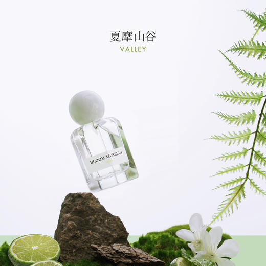 和莳夏摩山谷50ML芳香柑橘调花系列香水 商品图1