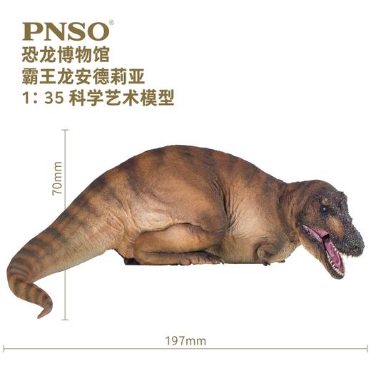 PNSO霸王龙安德莉亚恐龙博物馆1：35科学艺术模型 商品图1
